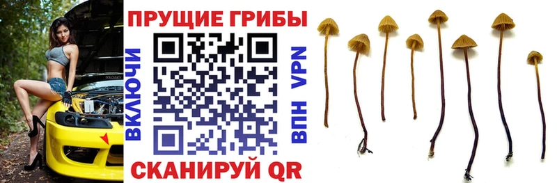 Галлюциногенные грибы GOLDEN TEACHER  Удачный 